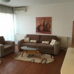 For rent furnished apartment in Kozle
