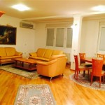 For rent a nice furnished apartment in the center near Goverment