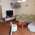 A fully furnished apartment for rent in the center